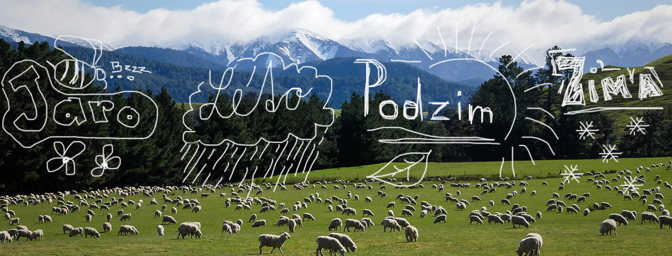blog_4rocniobdobi Čtyři roční období na Novém Zélandu